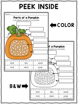 Parts of a Pumpkin Activities by Nicole and Eliceo | TpT