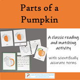 Parts of a Pumpkin Montessori Matching: 3 part card Activities