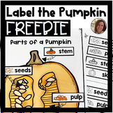 Parts of a Pumpkin FREEBIE | Special Education Resource