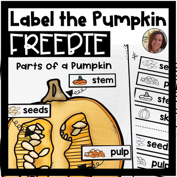 Preview of Parts of a Pumpkin FREEBIE | Special Education Resource