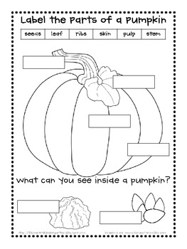 Parts of a Pumpkin Literacy ELA Mini Unit by Lil Country Librarian