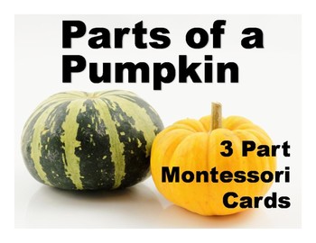 Preview of Parts of a Pumpkin Montessori Three Part Vocabulary Cards - color and blackline