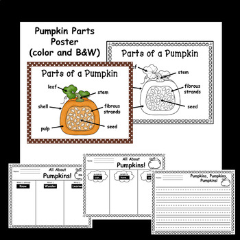 Parts Of A Pumpkin Diagram - Diagram For You