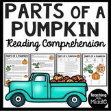 Parts of a Pumpkin Overview Reading Comprehension Worksheet October Fall