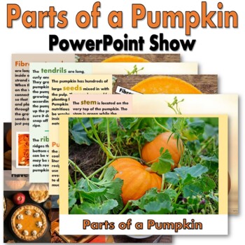 Preview of Parts of a Pumpkin PowerPoint Presentation Show