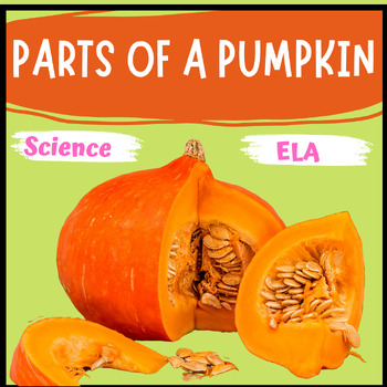Preview of Parts of a Pumpkin and Pumpkin Life Cycle Activities with Visuals and Labeling