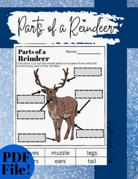 Parts Of A Reindeer - December Worksheet Activity By Goldengraphicfinds