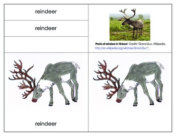 Preview of Parts of a Reindeer:Label the Reindeer Printables Included