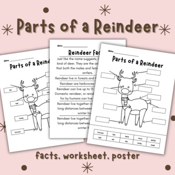 Parts of a Reindeer Labeling Activities | Centers | Reindeer Facts