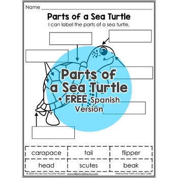Parts of a Sea Turtle Activity by Nicole and Eliceo | TpT