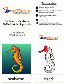 Preview of Parts of a Seahorse 3-Part-Matching printable