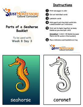 Preview of Parts of a Seahorse Booklet printable