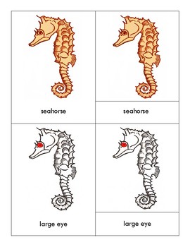 Preview of Parts of a Seahorse - Montessori-Three Part Cards