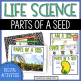 Parts of a Seed Google Slides - 2nd & 3rd Grade Digital Sc