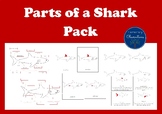 Parts of a Shark Pack