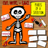Parts of a Skeleton Craft