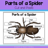 Parts of a Spider