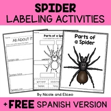 Parts of a Spider Activities + FREE Spanish