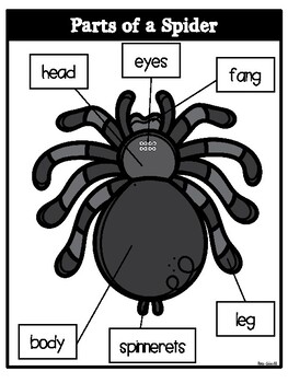 Parts of a Spider- Bilingual by Rae Elliott | Teachers Pay Teachers