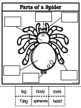 Parts Of A Spider- Bilingual By Rae Elliott 