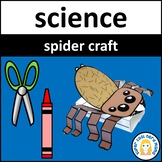 Parts of a Spider Handout and Craft