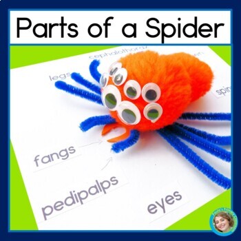 Preview of Parts of a Spider Worksheets, Song, Poster and Craft