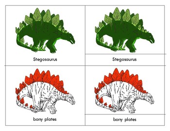 Preview of Parts of a  Stegosaurus-Three Part Cards