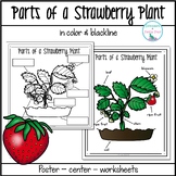 Parts of a Strawberry Plant Labeling Activities