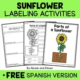 Parts of a Sunflower Activities