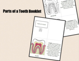 Parts of a Tooth Booklet • Nomenclature Cards • Digital Mo