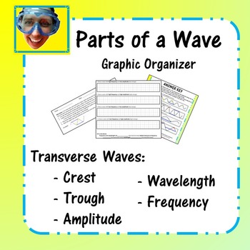 Preview of Parts of a Transverse Wave Graphic Organizer