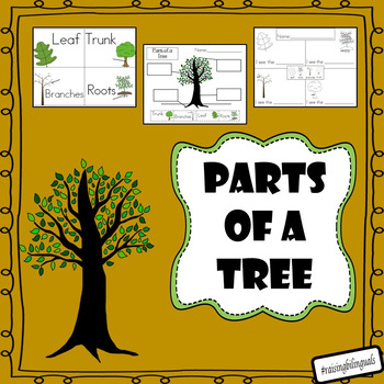 Preview of Parts of a Tree