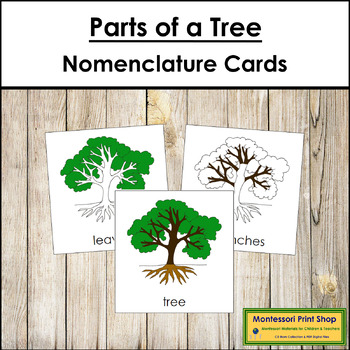 Preview of Parts of a Tree 3-Part Cards - Montessori Nomenclature