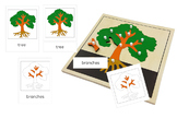 Parts of a Tree 3-Part Cards - Montessori Nomenclature