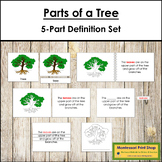 Parts of a Tree Definition Set - Montessori Nomenclature