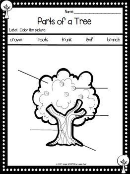 Parts of a Tree Emergent Reader Book AND Interactive Activities | TpT