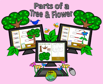 Preview of Parts of a Tree & Flower Google Slides™