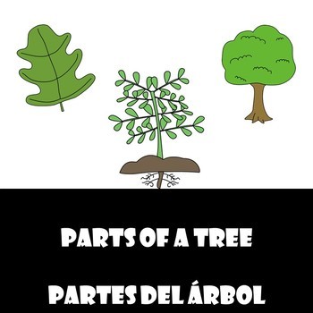Preview of Parts of a Tree/ Partes de un arbol (English and Spanish Bundle)