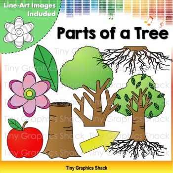 Preview of Parts of a Tree - Plant Clip Art