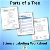 Parts of a Tree - Science Labeling Worksheet for Google Slides