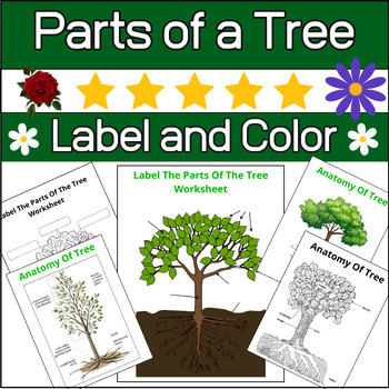 Preview of Parts of a Tree {Tree Anatomy} Labeling & Coloring Worksheets ✅ Tree Diagram ✅