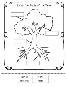 Preview of Parts of a Tree Worksheet