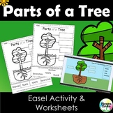 Parts Of A Tree Worksheets & Teaching Resources | TpT