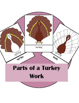 Preview of Parts of a Turkey Activity Montessori Three Part Cards And Master sheet