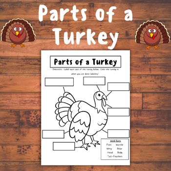 Preview of Parts of a Turkey- Thanksgiving Labeling Activity (1st-3rd Grade) Printable B&W