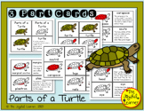 Parts of a Turtle 3-Part Cards, Book Making Masters, and P