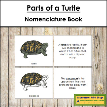 Preview of Parts of a Turtle Book - Montessori Nomenclature