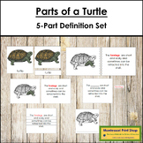 Parts of a Turtle Definition Set - Montessori Nomenclature