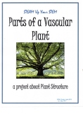 Science - Parts of a Vascular Plant