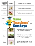 Parts of a Flower Lesson Plan, Worksheets and Activities